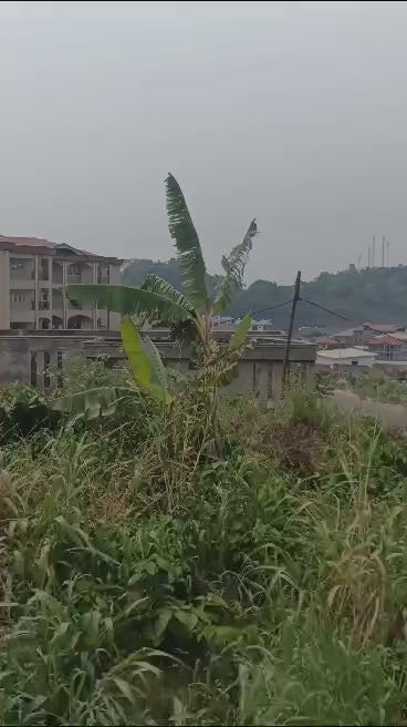 400m2 Land for sale - Limbe